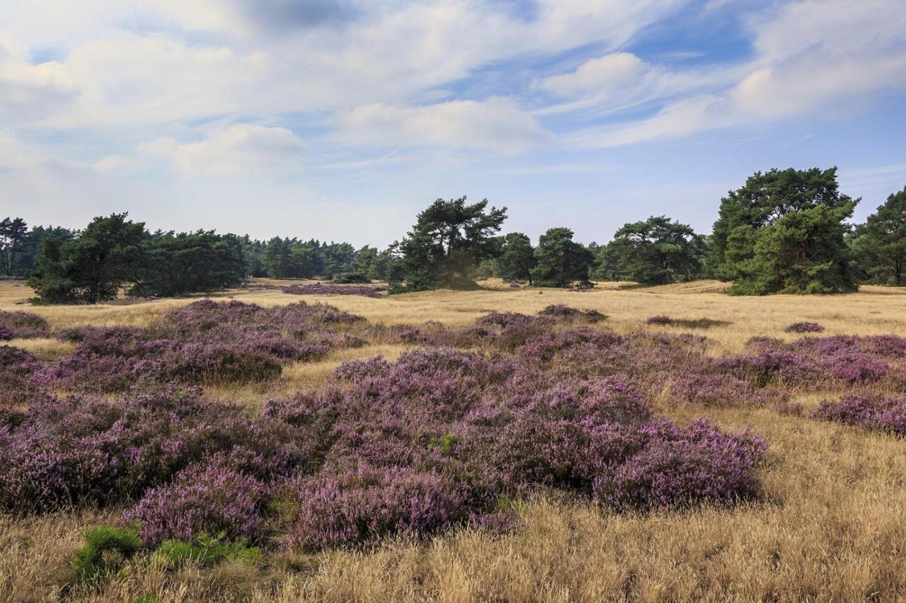 Chalet Op De Veluwe # Eiken Putten Ngoại thất bức ảnh