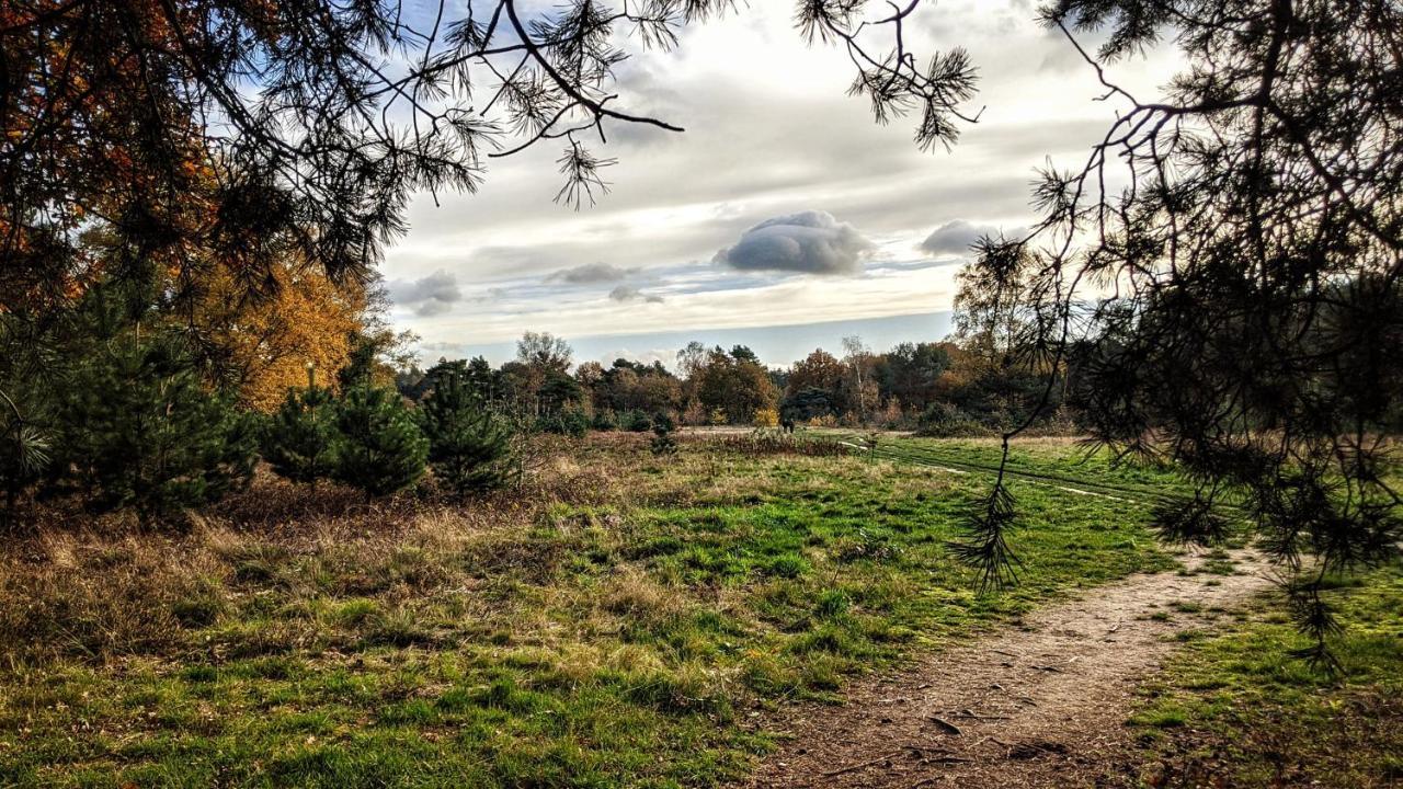 Chalet Op De Veluwe # Eiken Putten Ngoại thất bức ảnh