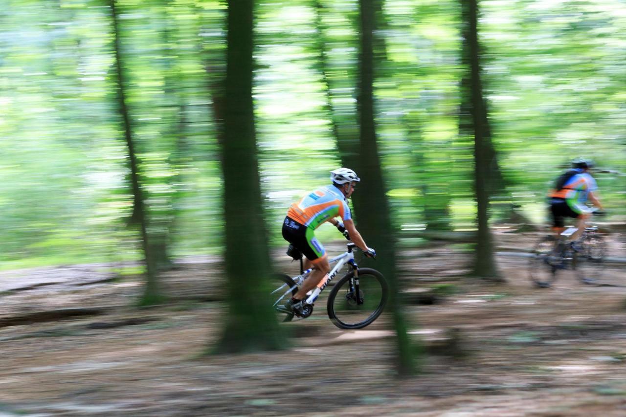 Chalet Op De Veluwe # Eiken Putten Ngoại thất bức ảnh